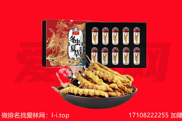 甘孜新龙县回收虫草.jpg